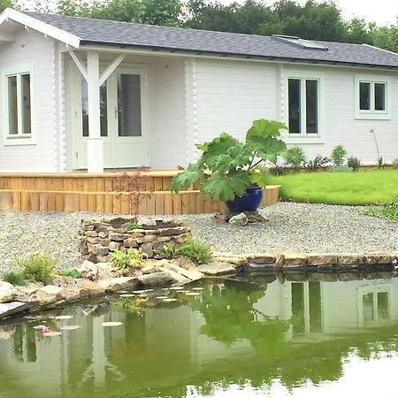 Willa Sunset Hideaway Narberth Zewnętrze zdjęcie