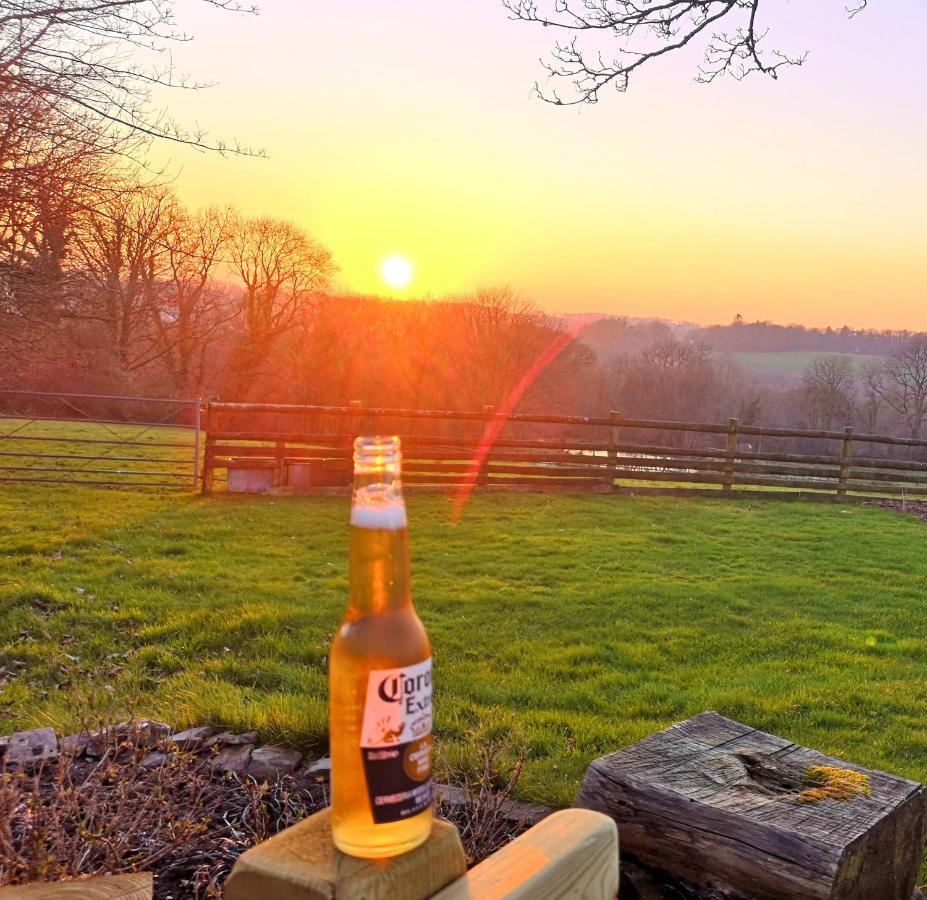 Willa Sunset Hideaway Narberth Zewnętrze zdjęcie